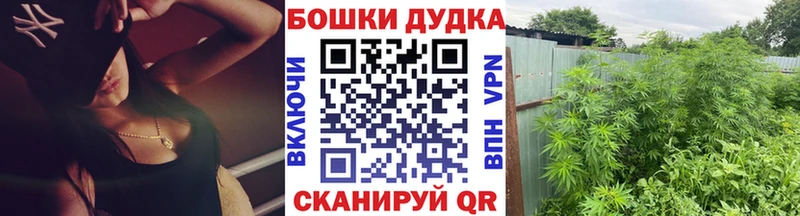 Шишки марихуана VHQ  маркетплейс Telegram  Избербаш 